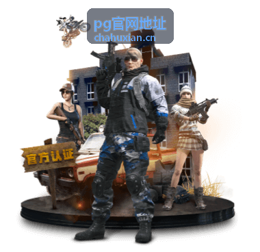 PG官网地址 在线状态实时页面封面